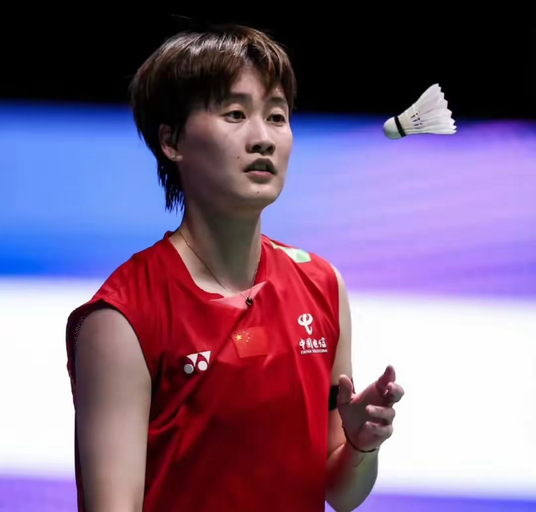 开云体育平台APP-中国队鏖战德国队，陈雨菲惊艳四座的简单介绍