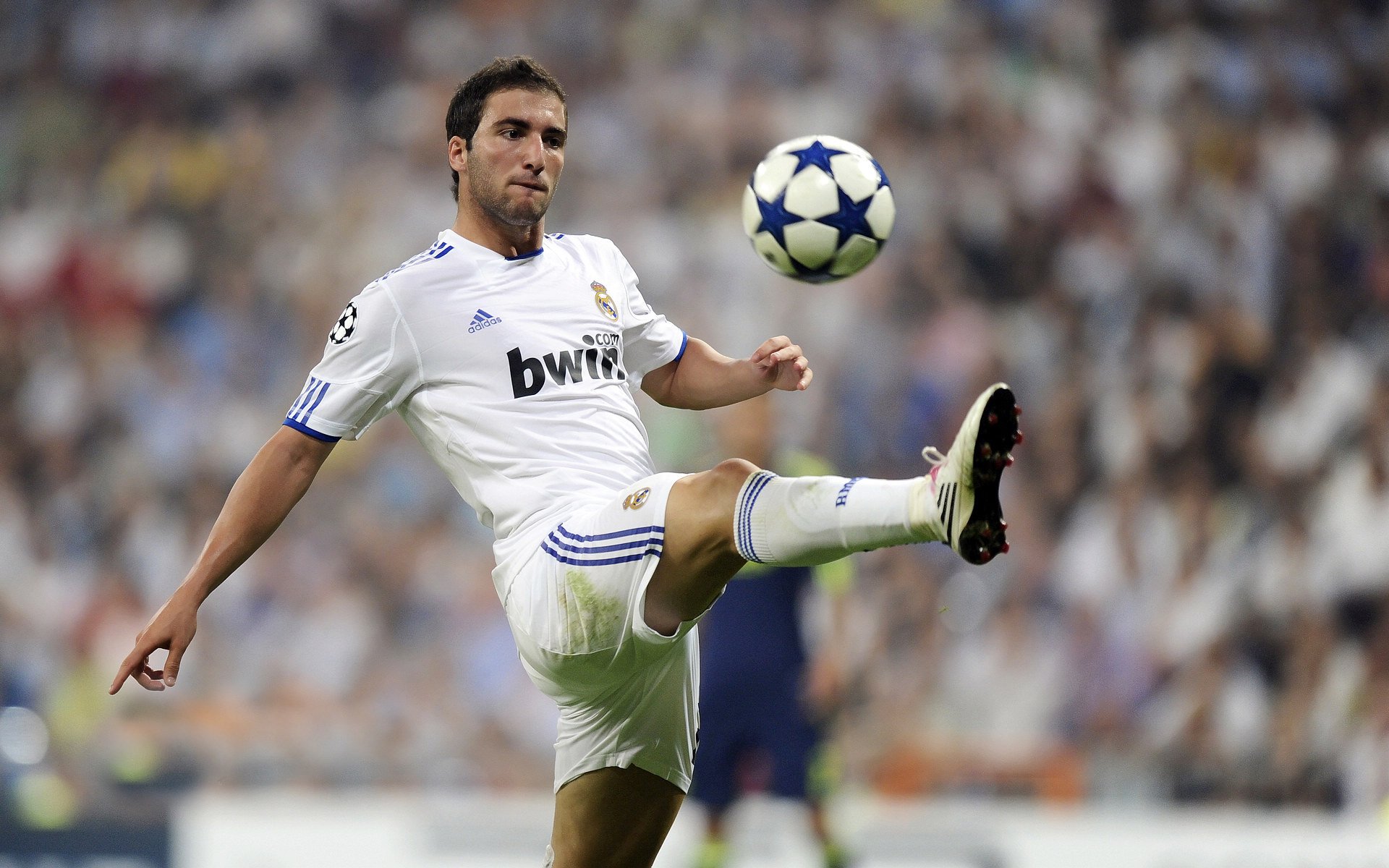 独行者与暴风雪，当安赛龙扛起孤独，印度队点燃集体的火焰