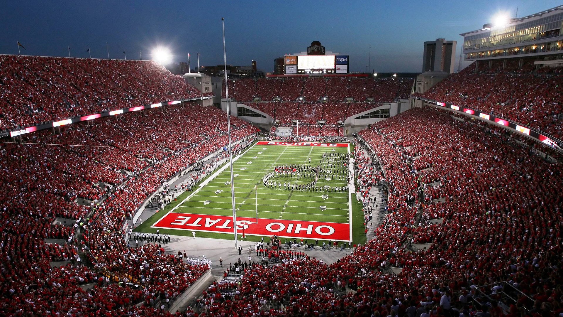 东方功夫熊猫横扫西方灰熊，克莱佛光笼罩全场